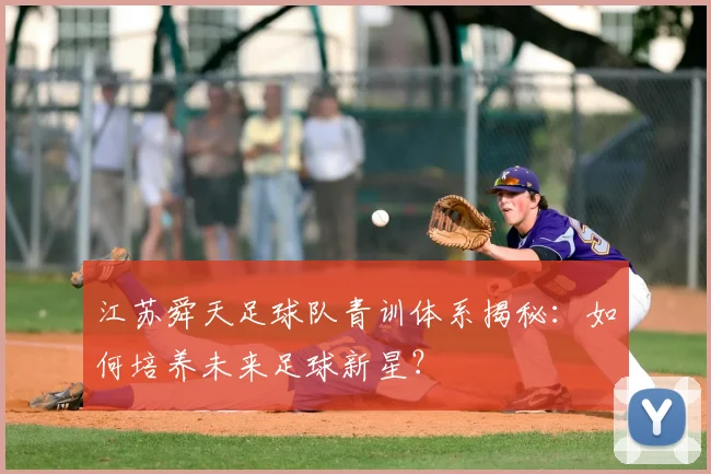 江苏舜天足球队青训体系揭秘：如何培养未来足球新星？