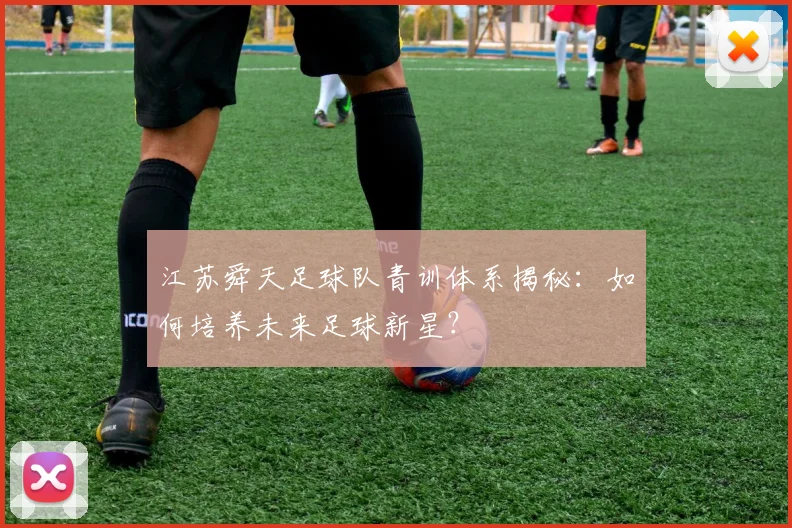 江苏舜天足球队青训体系揭秘：如何培养未来足球新星？